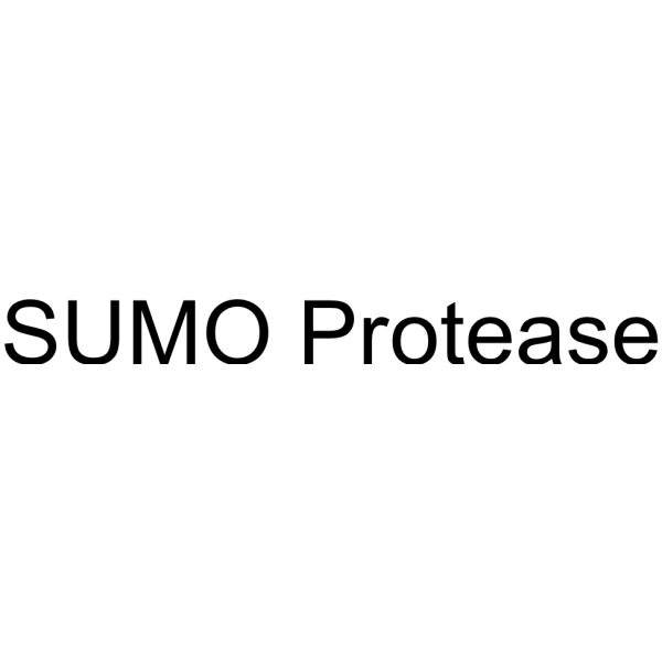 SUMO Protease 1607459-82-4